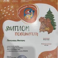 116 Лихачева Милана