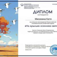 Диплом викторина (3)