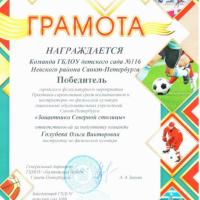 Голубева О.В. Защитники Северной столицы
